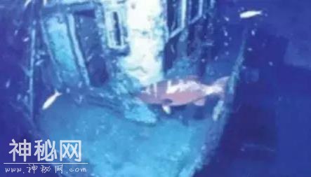 世界十大幽灵潜艇：诡异的海洋怪物，有的甚至被怀疑与外星人有关-3.jpg