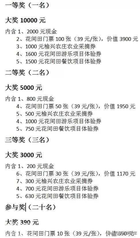 素朴李家庄花间田汉唐民俗文化艺术节正式开幕，带来一场视听盛宴-26.jpg