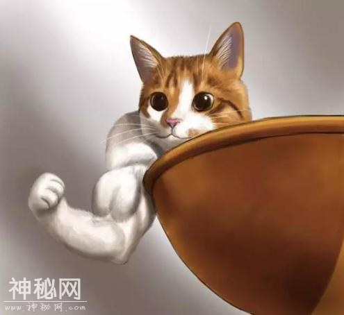 日本网友又把动物画成肌肉同人了-8.jpg