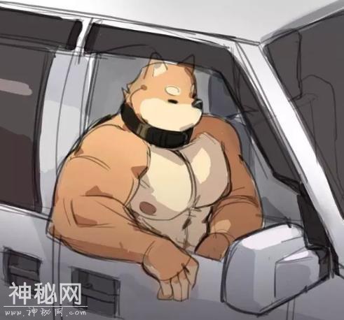 日本网友又把动物画成肌肉同人了-12.jpg