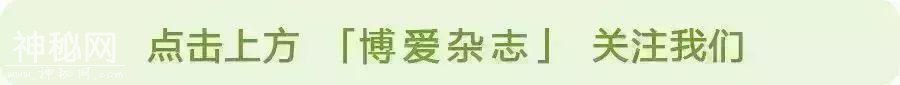 成为一名志愿者的理由是什么？她的答案在这两个故事里-1.jpg