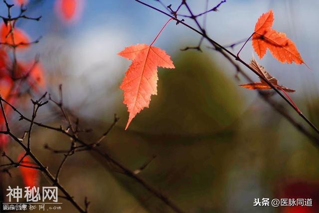 30岁要好好上班，别听大V瞎忽悠，这些鸡汤堪比毒药-8.jpg