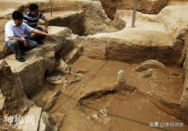 村民平整土地发现古墓，出土了500多件文物，专家：鱼国重现天日-2.jpg