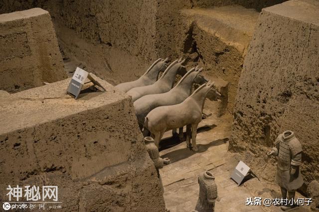 陕西发现一座战国古墓，墓内堆满了盗墓贼尸骸-6.jpg