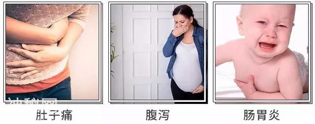 你吃进去每一口菜，都混着2亿多的细菌！这样的砧板你还敢用吗？-4.jpg