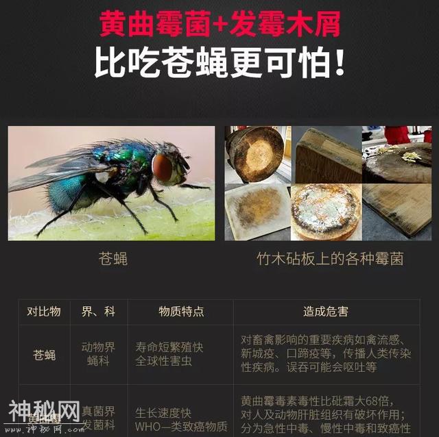 你吃进去每一口菜，都混着2亿多的细菌！这样的砧板你还敢用吗？-23.jpg