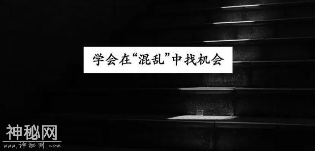 职场安稳｜这一碗鸡汤，我干了，你随意-1.jpg