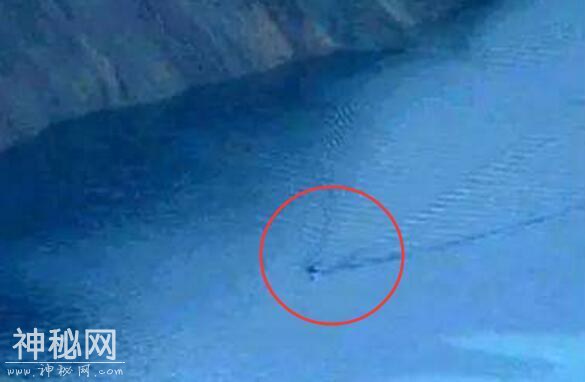 长白山天池水怪，或许是海洋生物？-5.jpg