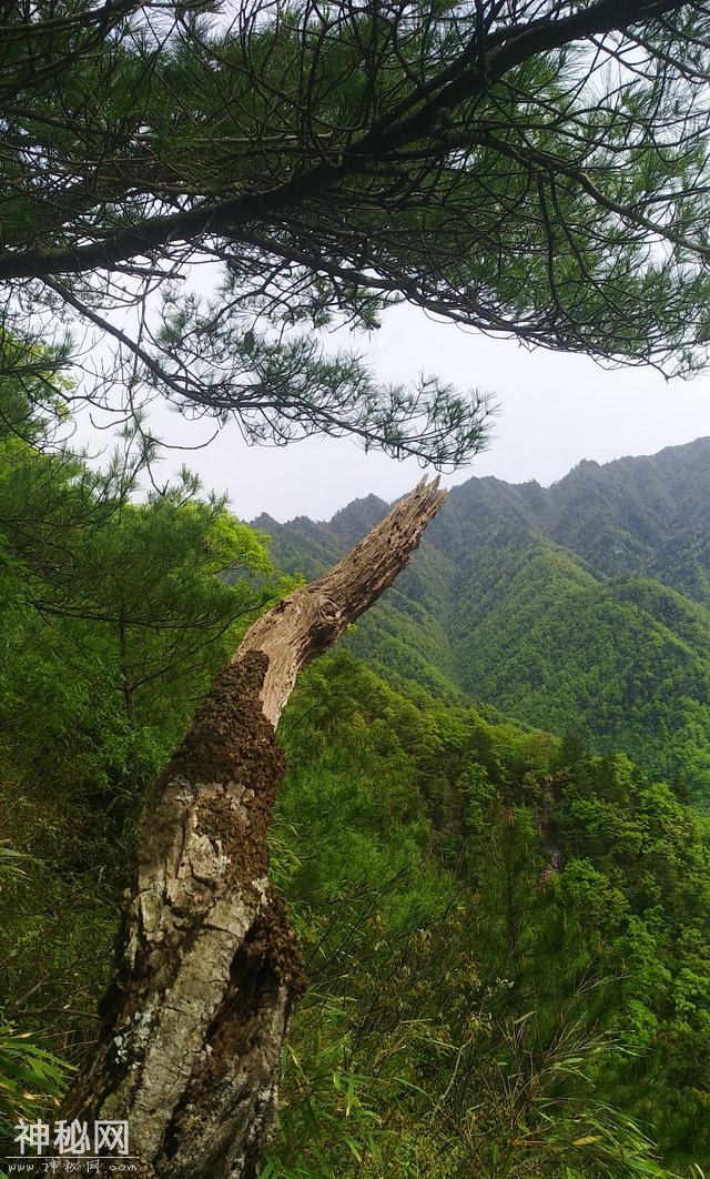 秦岭陕甘川三省界，灵异事件亲身感受！摩托车后座消失的白青年1-1.jpg