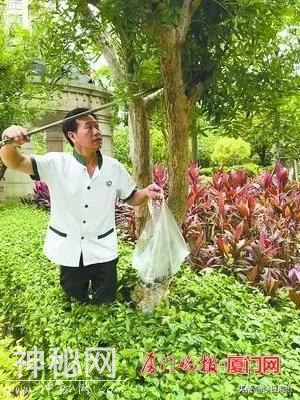 海沧人注意啦！小区出现这种生物会传播结核病和致命脑膜炎！-11.jpg