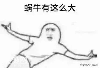 海沧人注意啦！小区出现这种生物会传播结核病和致命脑膜炎！-21.jpg