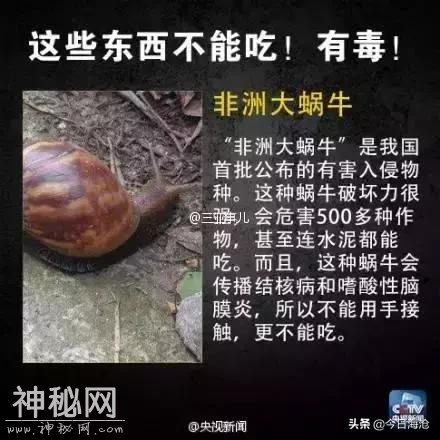 海沧人注意啦！小区出现这种生物会传播结核病和致命脑膜炎！-33.jpg