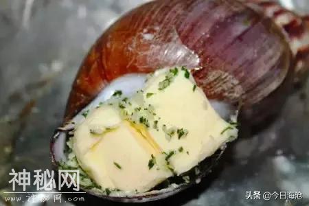 海沧人注意啦！小区出现这种生物会传播结核病和致命脑膜炎！-25.jpg
