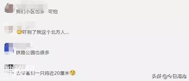 海沧人注意啦！小区出现这种生物会传播结核病和致命脑膜炎！-44.jpg