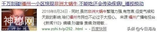海沧人注意啦！小区出现这种生物会传播结核病和致命脑膜炎！-48.jpg