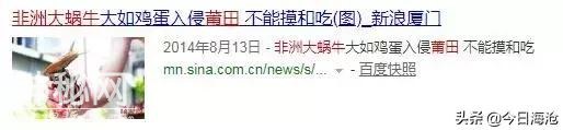 海沧人注意啦！小区出现这种生物会传播结核病和致命脑膜炎！-52.jpg