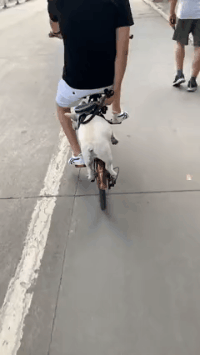 搞笑GIF动图：说好去洗脚，把我拉到KTV，服务员都笑了-7.jpg