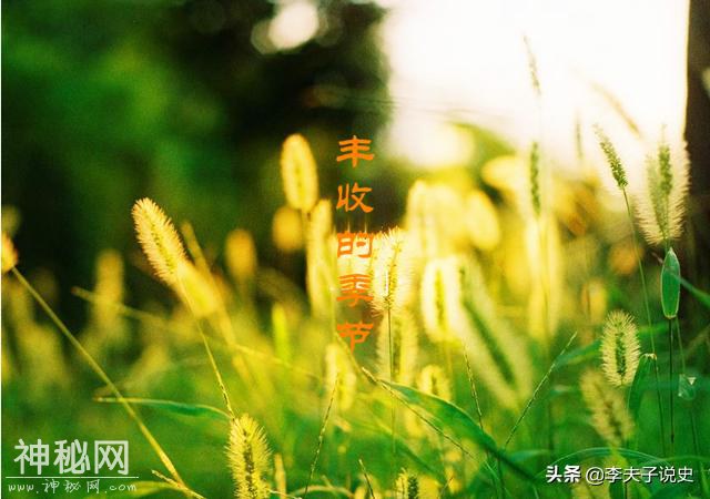立秋时节的风俗代表着古人的智慧，有哪些习俗现在还保留着？-2.jpg