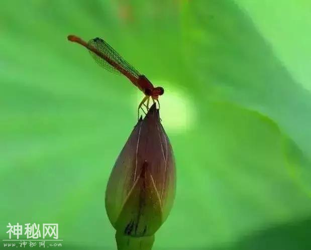 德润随笔：道德是人文的核心-1.jpg