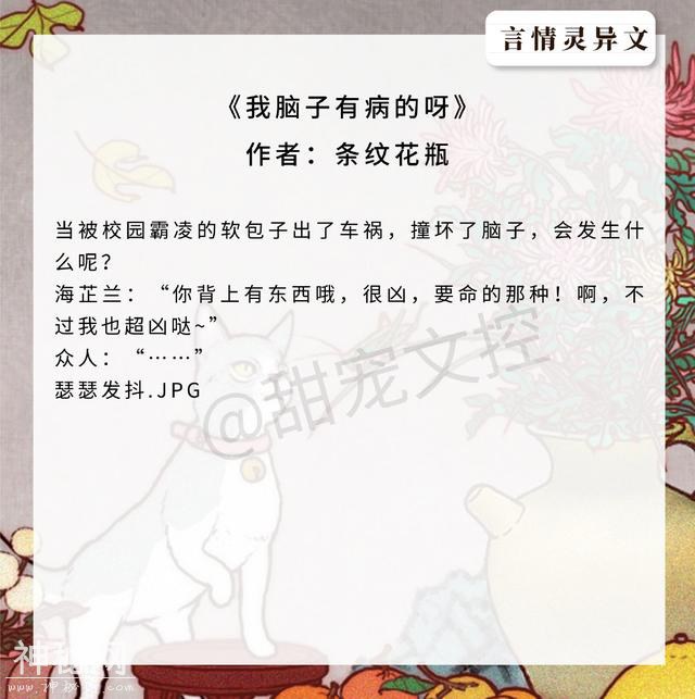 最强盘点！灵异类言情文，《棺材铺的老板娘》脑洞极大，错过后悔-5.jpg