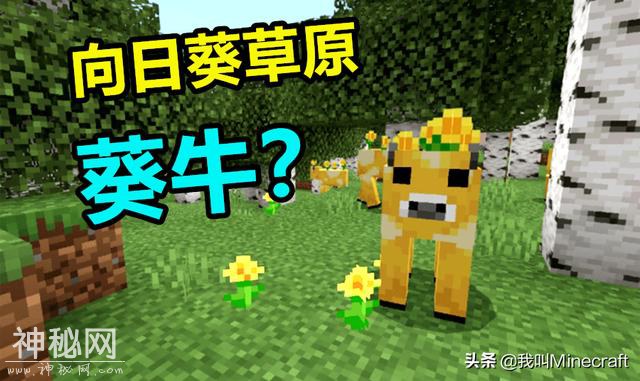 我的世界：mc神秘生物大揭晓！蘑菇岛又现新物种，官方对鸡下手了-6.jpg