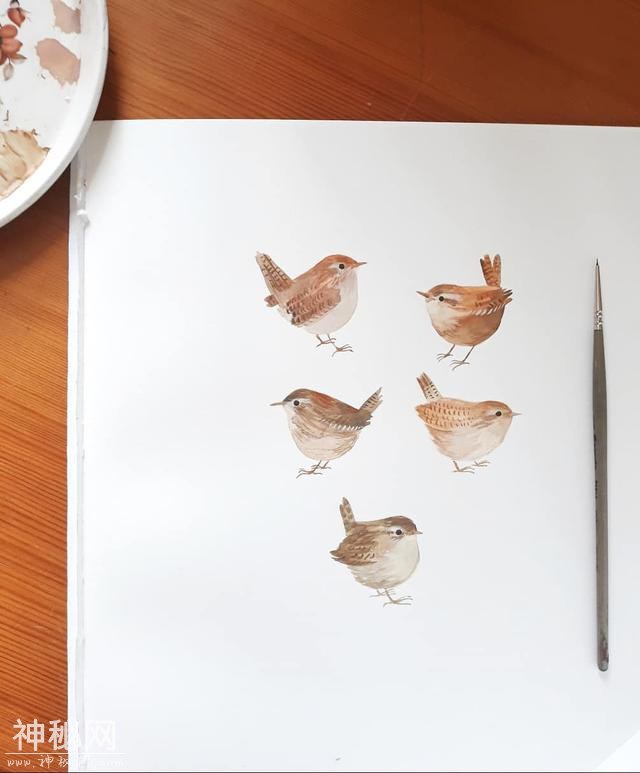 充满童趣的手绘小插画 可爱小动物们的童话世界 彩铅水彩完美结合-5.jpg