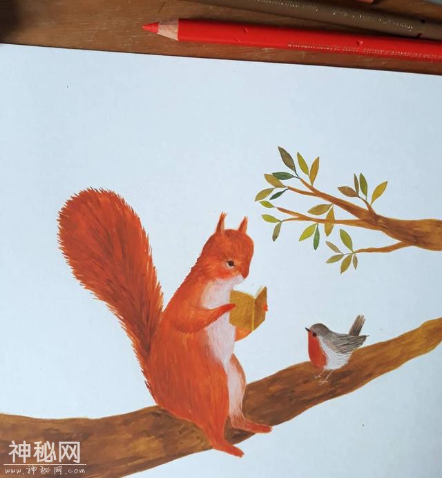 充满童趣的手绘小插画 可爱小动物们的童话世界 彩铅水彩完美结合-14.jpg