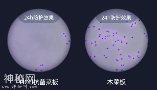 2亿细菌藏身菜板，脏的难以想象！99%抗菌的变态菜板，不发霉，磨刀磨蒜样样能行-15.jpg