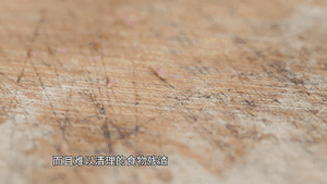 2亿细菌藏身菜板，脏的难以想象！99%抗菌的变态菜板，不发霉，磨刀磨蒜样样能行-18.jpg