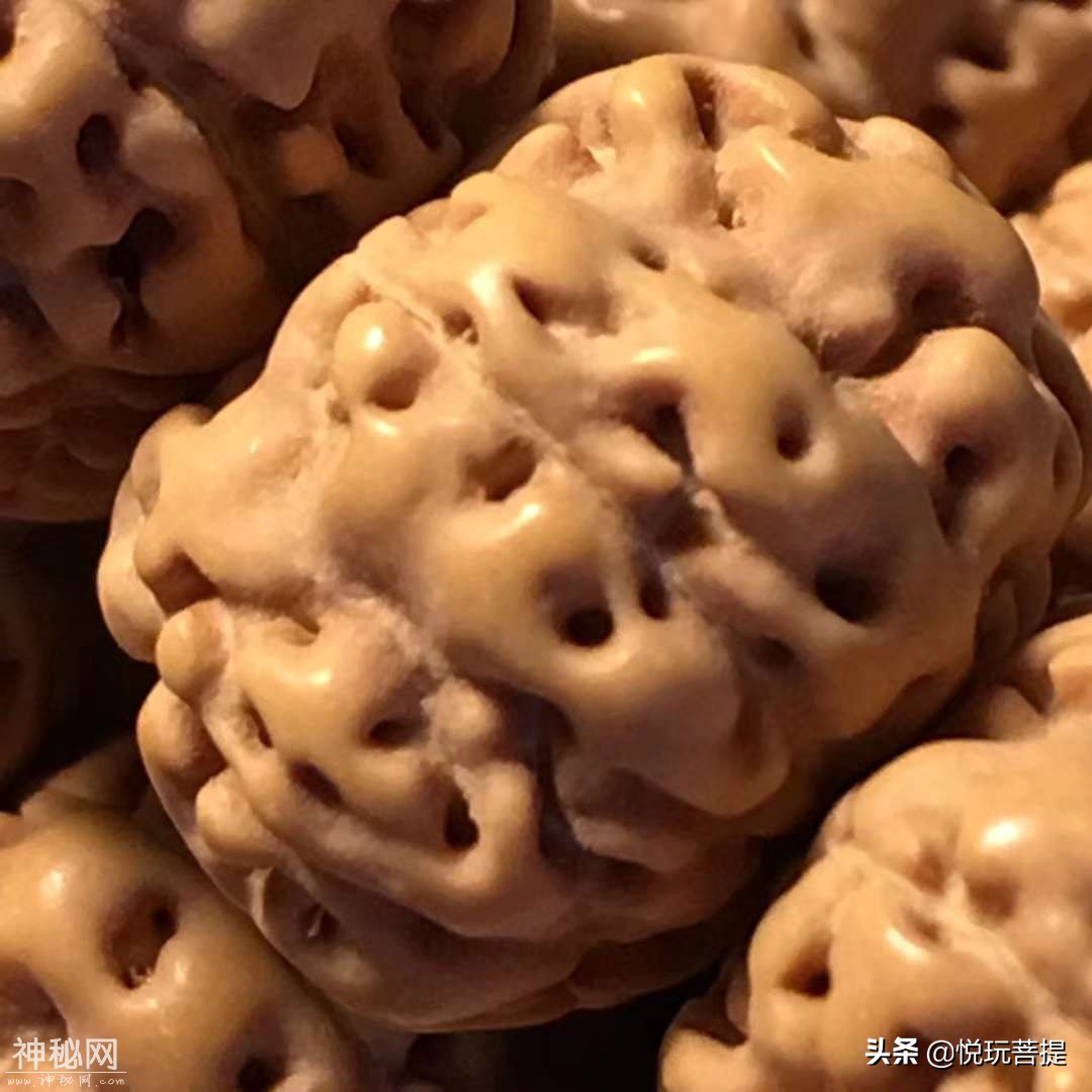 至尊飞碟梅花桩爆肉双龙-5.jpg