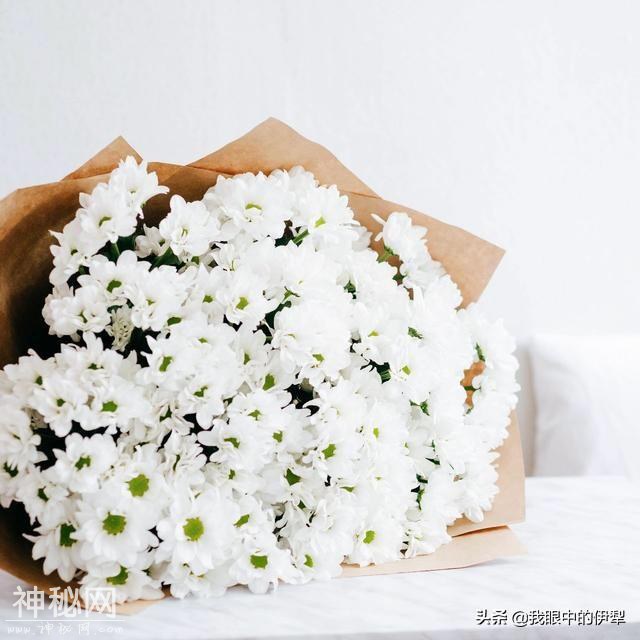 2019年8月9日伊宁市民俗文化旅游节开幕（27项活动等你来）-8.jpg