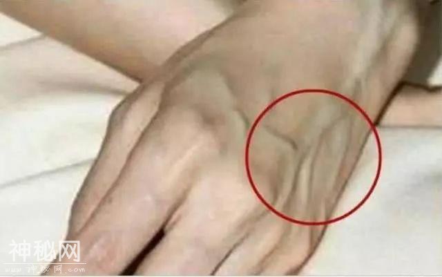 寿命长的人，身体3处会变“软”，若占一个，恭喜你是长寿体质-1.jpg