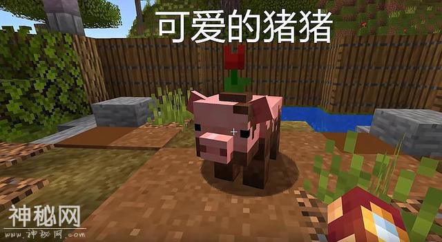 我的世界：1.15最有可能加入的生物，水母上榜，鳄鱼感觉也不错-2.jpg