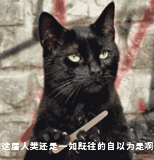 生物界网红三傻：为了适应生存环境，这些动物都变得如此沙雕-6.jpg