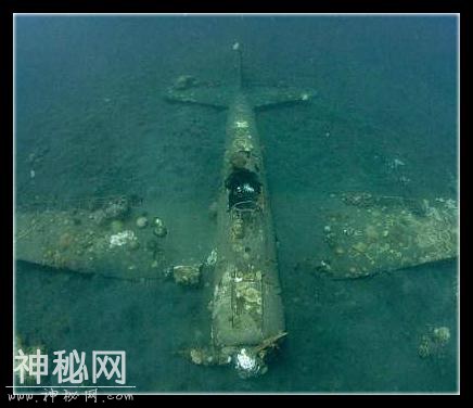 一名男子潜水，偶遇一架二战飞机，却揭开了百慕大三角的疑点-7.jpg