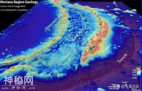 海底1万米传来诡异叫声，疑存在未知生物，科学家探测到可怕现象-3.jpg