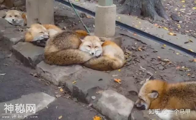 有哪些超短却能让人笑抽的笑话？-9.jpg