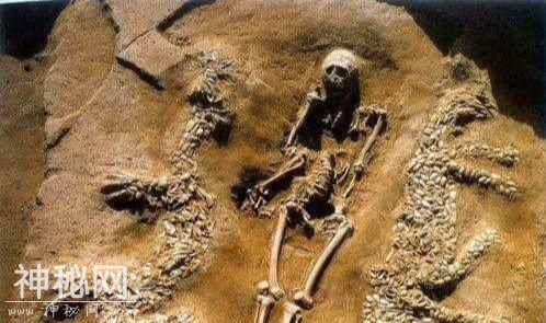 考古家出土史前颠覆认识性文物，万年前的真龙龙骨该如何解释-5.jpg