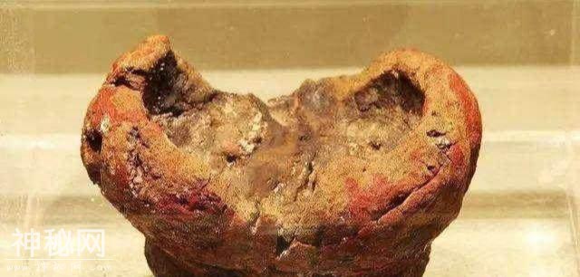 考古家出土史前颠覆认识性文物，万年前的真龙龙骨该如何解释-4.jpg