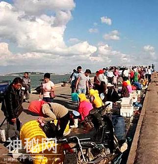 客居青岛即墨田横，体会孔孟之乡的民俗良序——好客山东见闻之三-3.jpg