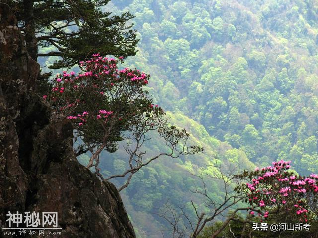 独居神农架深山老林十多年寻找“野人”的“当代野人”张金星-3.jpg