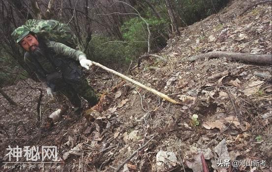 独居神农架深山老林十多年寻找“野人”的“当代野人”张金星-47.jpg