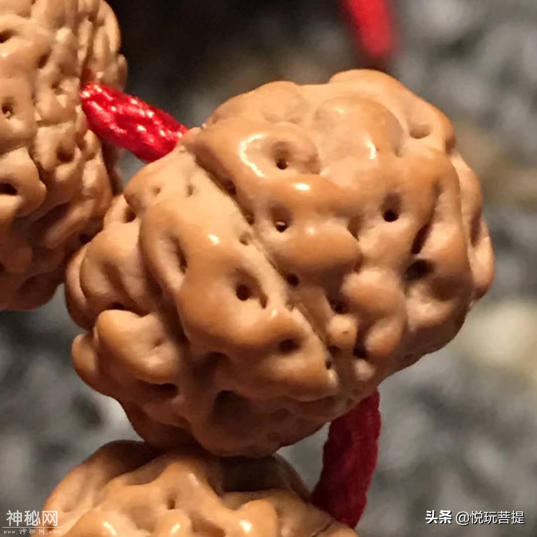 五瓣UFO，皮质油性密度一流-5.jpg