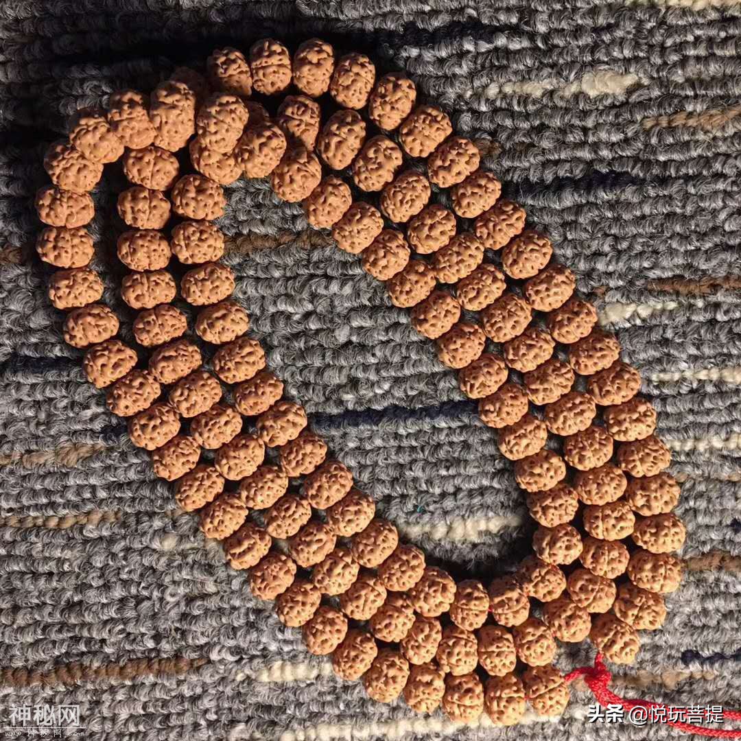 五瓣UFO，皮质油性密度一流-9.jpg