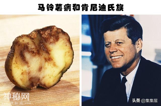 9种自然现象所带来的无人能够预测到的结果-7.jpg