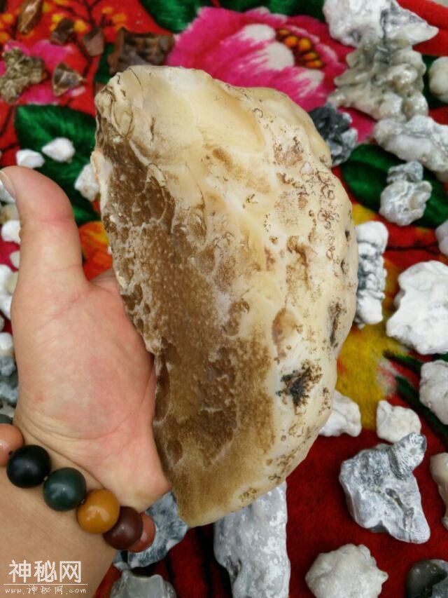 新疆罗布泊是唯一出产这种石头的地方，稀有罕见，捡几块带回去？-23.jpg