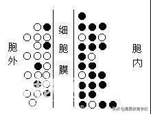 2020高考生物；高中生物选择题常用解题方法与技巧-1.jpg