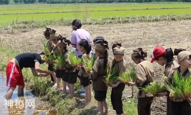 明仕壮族农耕民俗文化节 | 田园抢鱼抢鸡大战即将开始！-8.jpg