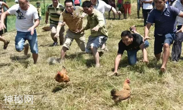 明仕壮族农耕民俗文化节 | 田园抢鱼抢鸡大战即将开始！-13.jpg