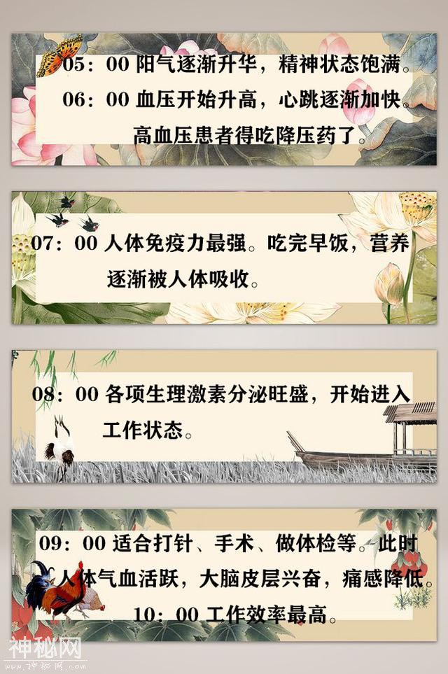 从1点-24点，该如何健康养生？快来关注一下吧-2.jpg